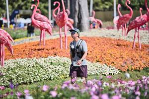 BIB: 
                            <button type="button" onclick="openModal(27793042)" class="btn btn-primary btn-sm float-right btn-popup" data-toggle="modal" data-target=".modal-high-quality">
                        <i class="fas fa-shopping-cart"></i> Add to Cart
                    </button>
                                            <button type="button" onclick="isThisMe(27793042, true)" class="btn btn-success btn-sm float-right btn-popup btn-isme hidden" data-toggle="tooltip" data-placement="bottom" title="นี่คือรูปของคุณใช่ไหม คลิกที่นี่เพื่อเอาเข้าอัลบั้ม">
                        <i class="fas fa-plus"></i> Add to album
                    </button>
                    <button type="button" onclick="isThisMe(27793042, false)" class="btn btn-warning btn-sm float-right btn-popup btn-isnotme hidden">
                        <i class="fas fa-ban"></i> Remove from album
                    </button>